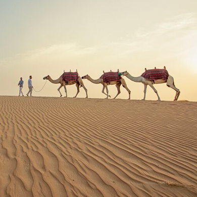 Deserto Dubai