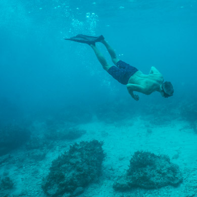 Viaggi per famiglie Giamaica